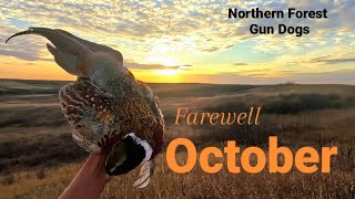 Farewell October SharptailsHunsPheasants [upl. by Madora]