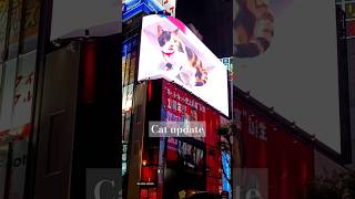 Shinjuku cat update real sound tokyo shinjuku cat japan [upl. by Thorbert]