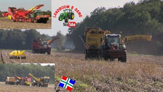 Aardappelen rooien Keiler 2 Lwd Ropa  grimme se15060 fendt transport fendt case oost Groningen 4K [upl. by Adnilreb]