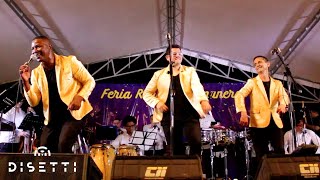 Orquesta La Identidad  Quiéreme  Salsa En Vivo Romántica [upl. by Eidorb]