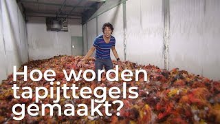 Hoe worden tapijttegels gemaakt  Doen Ze Dat Zo [upl. by Dis]