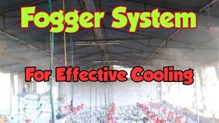 Fogger System Poultry Farm [upl. by Thurman898]