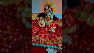 Hamare ghar aaye laddu Gopal 🥰 [upl. by Learsiy]