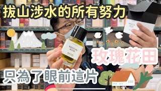 『開香聞』 Matiere Premiere Radical Rose 不敗玫瑰淡香精 100ml qemgirl [upl. by Hendren787]