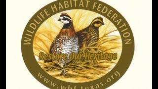 Reversing the Quail Decline in Texas Wildlife Habitat Federation Model [upl. by Idroj745]