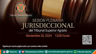 201124  Sesión Plenaria Jurisdiccional [upl. by Yarased]