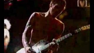 Red Hot Chili Peppers  Easily Live [upl. by Anstice]