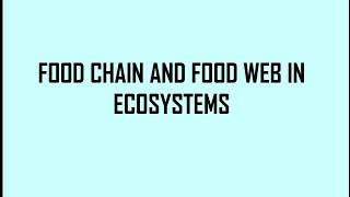 Food chain and food web in ecosystems [upl. by Ernst393]