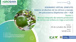 Sistema productivo de los cítricos y manejo del patosistema Diaphorina citri – HLB en Colombia [upl. by Anelliw]