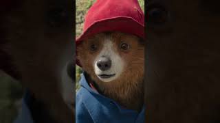 Paddington is Back New Movie and Series Announced 🐻🎬 Paddington NewPaddingtonMovie [upl. by Ecyac]