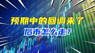 A股炼金日记 2024年2月28日 — 预期中的回调来了，后市怎么走？ [upl. by Cedric]