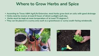 Week 21 Herbs and Spices Growing Guide English [upl. by Nama]