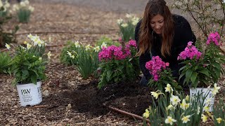 Planting New Varieties of MonardaPhlox in the RAIN 💦  Amaranth Seeds 🌿💚🌸 [upl. by Seira]