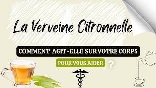 Voici 9 Bienfaits choquants de la verveine citronnée [upl. by Eeraj]