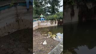 we cleaned our abandoned pool [upl. by Culley]