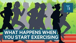 What Happens To Your Body When You Start Exercising Regularly  The Human Body [upl. by Janot]