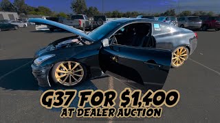 2013 G37 at Dealer Auction for 1400 [upl. by Rola]