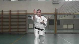 Wado Ryu Kata Bassaimpg [upl. by Anahsar]