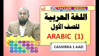 Carabi  Arabic Galas 1 Cashirka 1aad Caamir Axmed Mayow [upl. by Ahsilet]