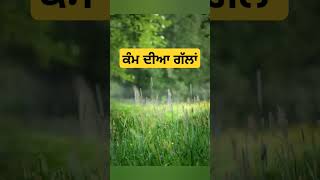 ਕੰਮ ਦੀਆ ਗੱਲਾਂ facts funfacts punjabitalks punjabtalks [upl. by Lemkul]