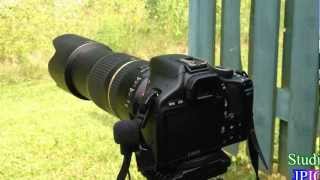 Tamron SP 70300mm Di f456 VC USD  AFVC noise and AF speed test [upl. by Leiram]