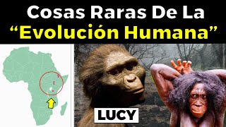 La extraña historia de los Australopithecus y quotLucyquot [upl. by Ainoda]