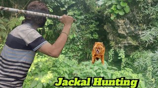 Geedar ka shikar  Jackal Hunting  Top Vlogger Team  TVT [upl. by Suoicerp401]