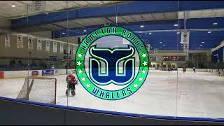 Hampton Roads Whalers Goal Horn 2324 [upl. by Sandra]