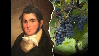 Norton The Grape That Changed Everything  Documentary [upl. by Lotsyrc152]