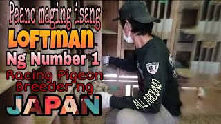 Loftman Duties  What is it like being the Loftman of the Number 1 Breeder in Japan [upl. by Urien]