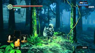 Dark Souls Walkthrough  Dark Souls Guide  Darkroot Garden Getting the Stone Armor [upl. by Stanwood]