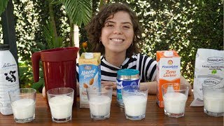 QUAL É O MELHOR LEITE  Uht Pasteurizado Sem Lactose  MARINA MORAIS [upl. by Attoynek]