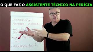 O que faz o Assistente Técnico na perícia [upl. by Noland]