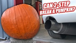 PUMPKIN vs 1000hp SUPRA [upl. by Marba190]