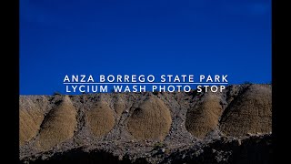 Anza Borrego Lycium Wash Photo Stop [upl. by Lahsiv]