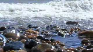 Martha Tilston Rockpools VIDEO [upl. by Abel866]