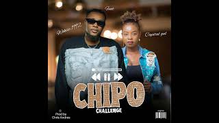 Wikise ft Capital Gal  Chipo open verse Challenge [upl. by Long]