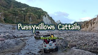 PUSSYWILLOWS CATTAILS  Karaoke Version  in the style of Kenny Rankin [upl. by Atnuahc]