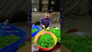 Sag aa gye 😂viralvideo viralshort trendingsong funny kidsvideo zaeem Anaya vlog 🎇 [upl. by Schuman370]