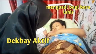 Menyusui Bayi Baru Lahir Asuhan Sayang Ibu [upl. by Nevaed]