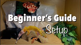 Simple Leopard Gecko Setup 2023 Beginner’s Setup Guide [upl. by Remlap437]