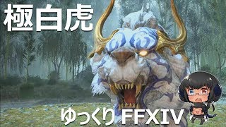 ゆっくりと振り返る極白虎征魂戦 FF14 [upl. by Annanhoj]