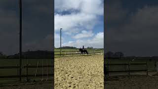 séance avec ma jument 🧡 12 equestrian cheval equitation horse [upl. by Allimak]