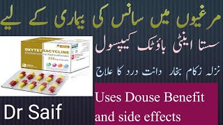 oxytetracycline capsules uses in Urdu oxytetracycline capsules benefits and side effects Dr Saif [upl. by Iana]