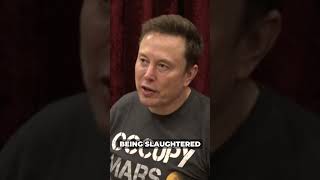 elonmusk and joerogan Discuss the Medias Attempt to Twist donaldtrump Words [upl. by Fridlund]