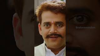 కటౌట్ చూసి కొన్ని కొన్ని నమ్మేయాలి డ్యూడ్ 😂  Brahmanandam  RaceGurram  AlluArjun  YTShorts [upl. by Hansiain]