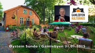 Øystein Sunde  Konsert i Gamlebyen Fredrikstad 31 januar 2015 HELE KONSERTEN LIVE [upl. by Galen]