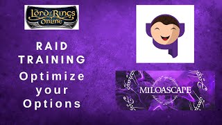 LOTRO  Optimize your Raid Settings [upl. by Edmondo]