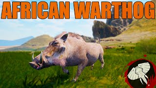 The BRUTAL Life of a Warthog  Animalia Survival [upl. by Eniale]