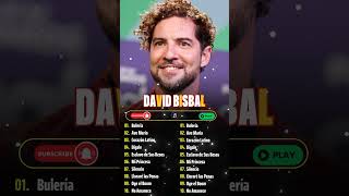 A Contracorriente  David Bisbal  davidbisbal grandesexitos [upl. by Liu257]